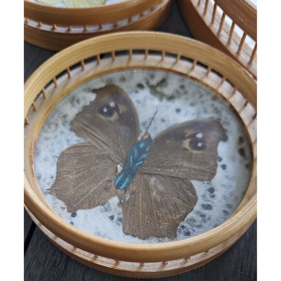 Vintage Round Bamboo Serving Tray Butterfly with Coasters Set of 7 Taiwan - Picture 6 of 12